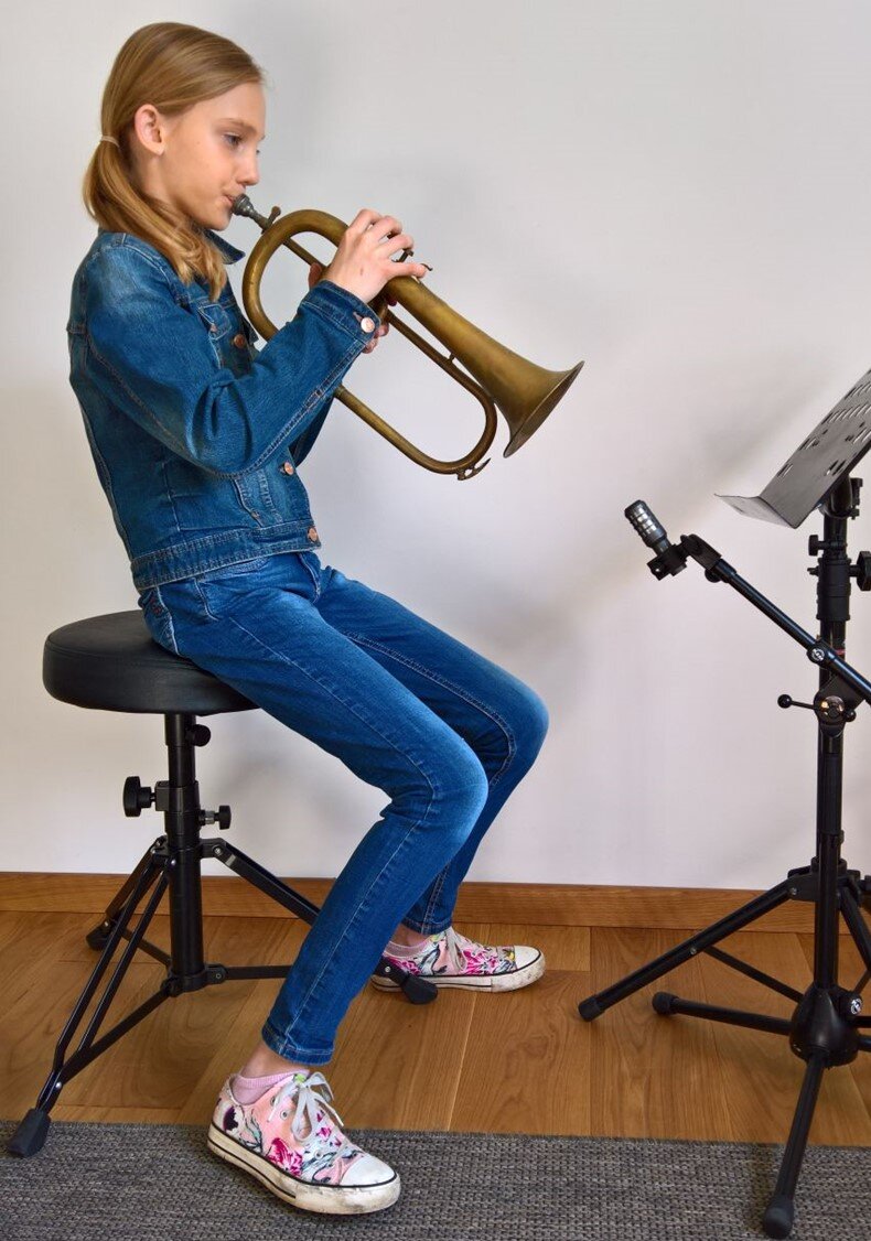 Cardioid dynamic microphone (Audio-Technica AE 2300) on the music stand